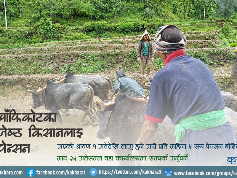 बाँफिकोटका जेष्ठ किसानलाई मासिक ५ सय पेन्सन 